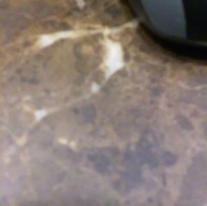 Meet your Posher, Edward